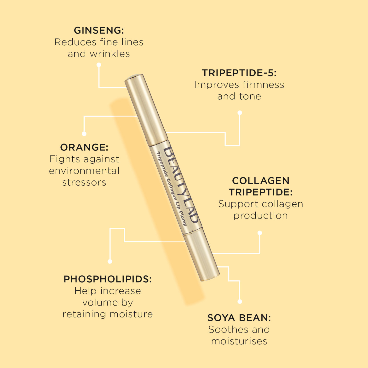 BeautyLab Lip Plump product benefits